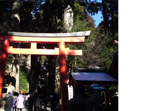 箱根神社へお参り_b0304598_238479.png