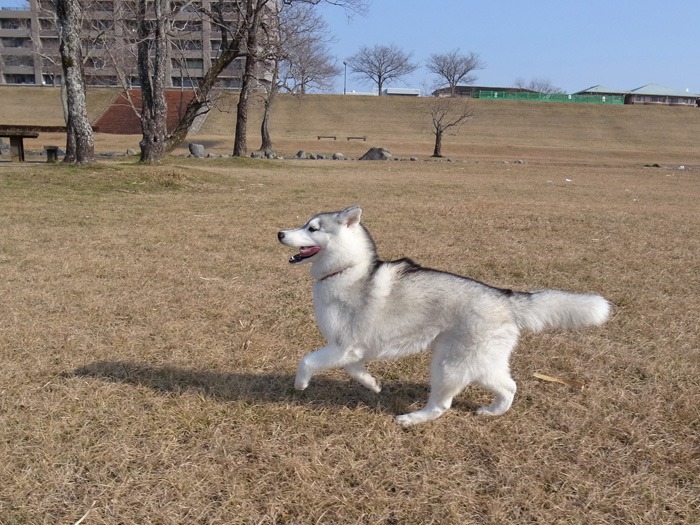 c0049299_20304379.jpg
