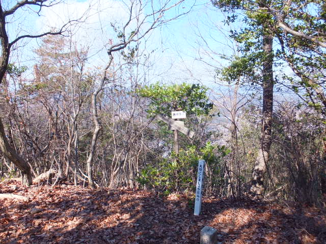 a0271502_10155328.jpg