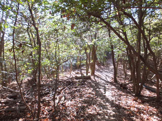 a0271502_10174356.jpg