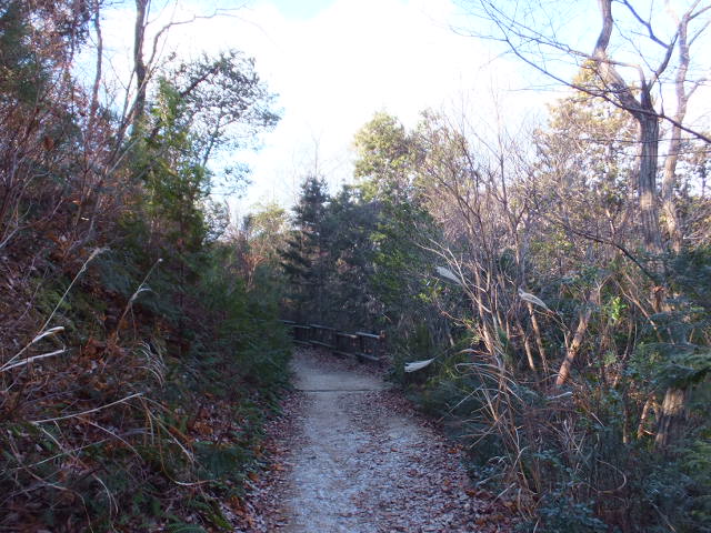 a0271502_1065332.jpg