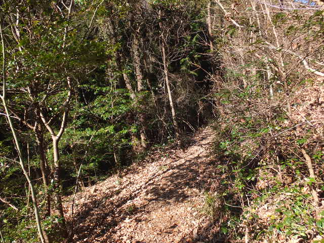 a0271502_929369.jpg