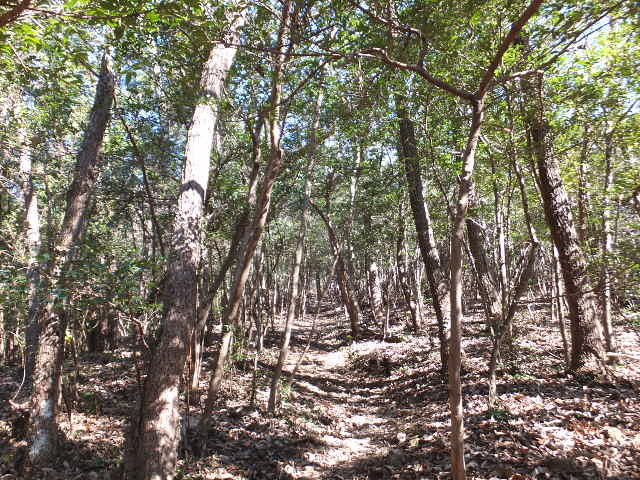 a0271502_9295798.jpg