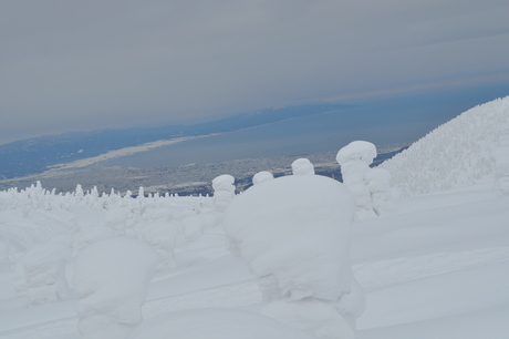 2014年1月18日深雪の八甲田山を楽しむ_c0242406_15243139.jpg