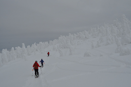 2014年1月18日深雪の八甲田山を楽しむ_c0242406_15273998.jpg