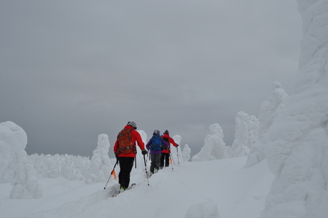 2014年1月18日深雪の八甲田山を楽しむ_c0242406_15281894.jpg