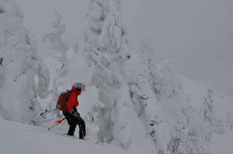 2014年1月18日深雪の八甲田山を楽しむ_c0242406_15381161.jpg