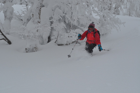 2014年1月18日深雪の八甲田山を楽しむ_c0242406_15544573.jpg