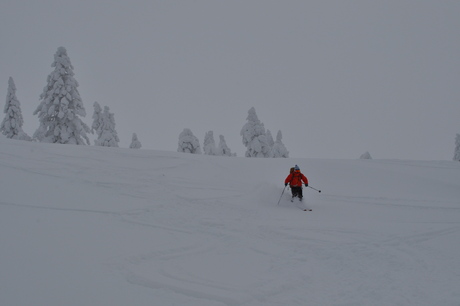 2014年1月18日深雪の八甲田山を楽しむ_c0242406_1554946.jpg