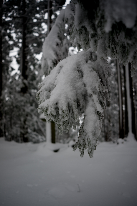 locusgear/cp2を持って雪山へ行こう_b0251410_10543264.jpg