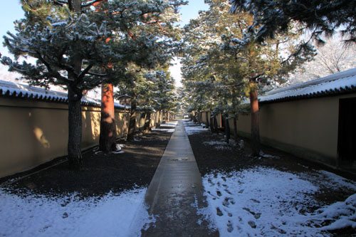 大徳寺参道から　14雪げしき2_e0048413_925527.jpg