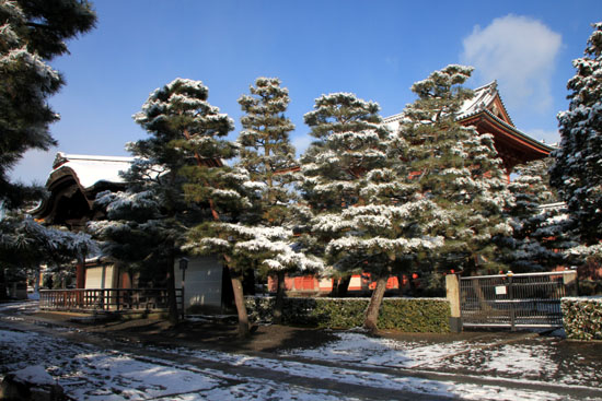 大徳寺金毛閣あたり 14雪けしき3_e0048413_9391029.jpg