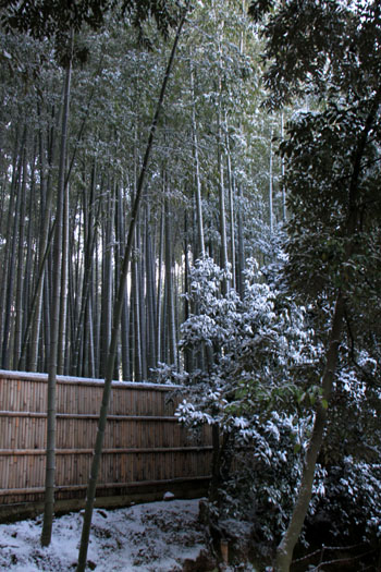 大徳寺金毛閣あたり 14雪けしき3_e0048413_939542.jpg
