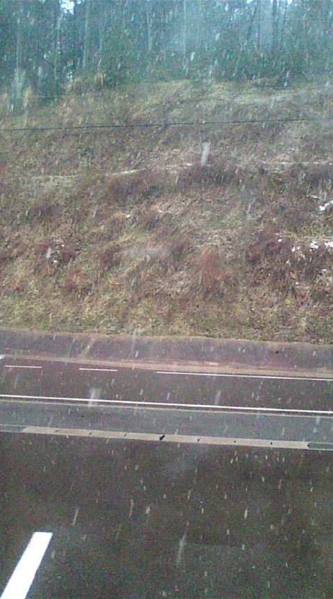 【大寒二日目、雪が強まってきました】_e0094315_8241480.jpg