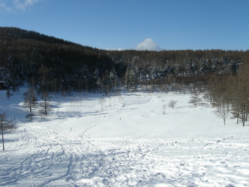 f0100825_20264243.jpg