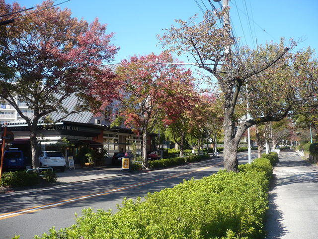 a0187426_19511881.jpg