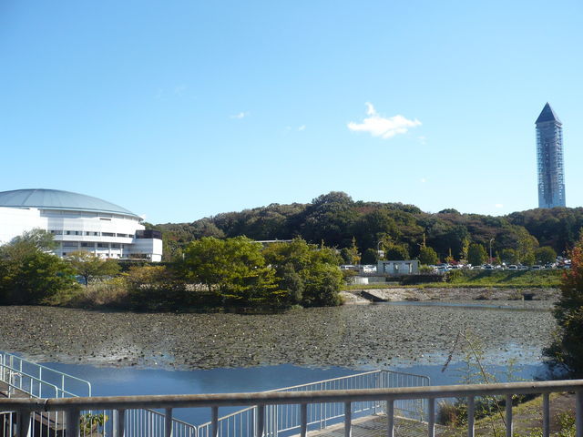 冬の散歩道_a0187426_2011456.jpg