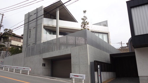 芦屋川辺り 笑うわんこ