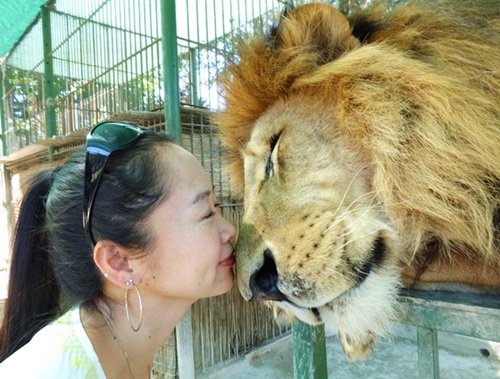 1番怖かったのは!★ルハン動物園（ブエノスアイレス,アルゼンチン）_e0182138_532322.jpg