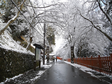 戦国散歩~比叡山延暦寺 _b0145843_21371416.jpg