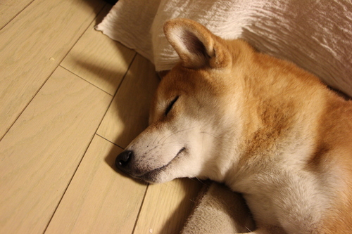 f0245650_84295.jpg