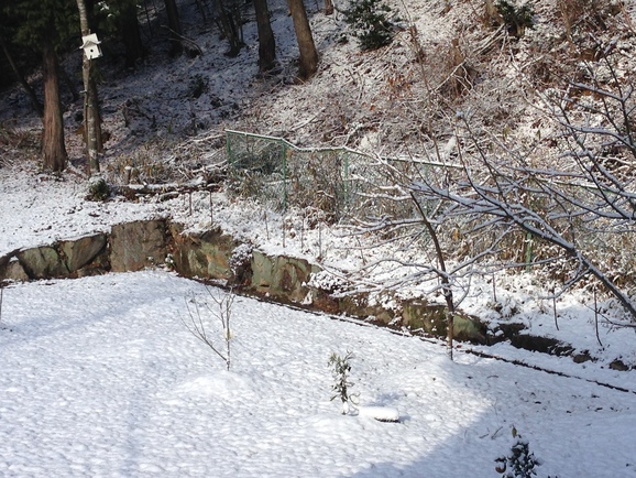 f0254170_1314934.jpg