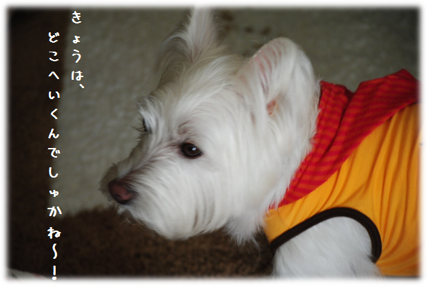 b0242873_13560961.png