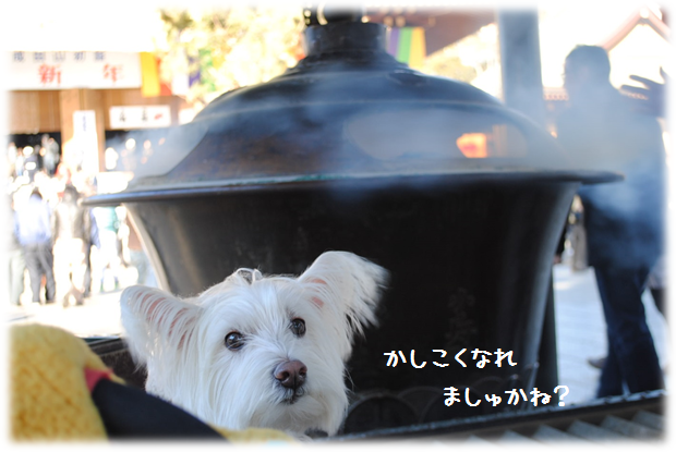 b0242873_13572368.png
