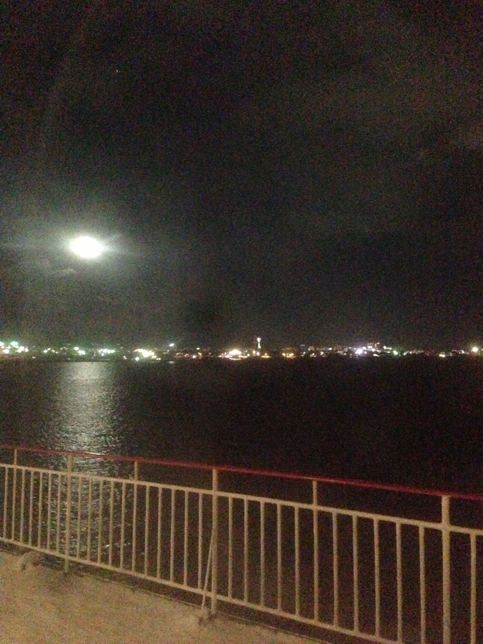 b0059978_22262854.jpg