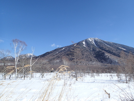 b0125180_530342.jpg