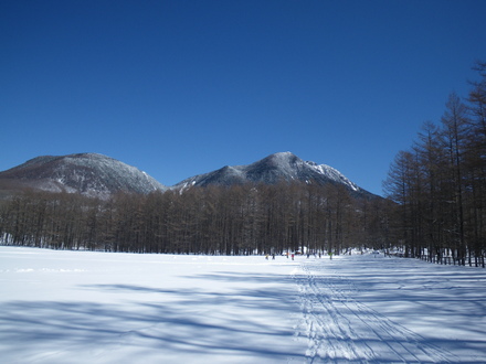 b0125180_5315225.jpg