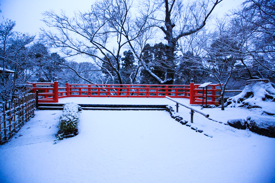 雪景色！　～北野天満宮～_b0128581_20362110.jpg