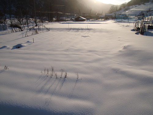f0236291_5563025.jpg