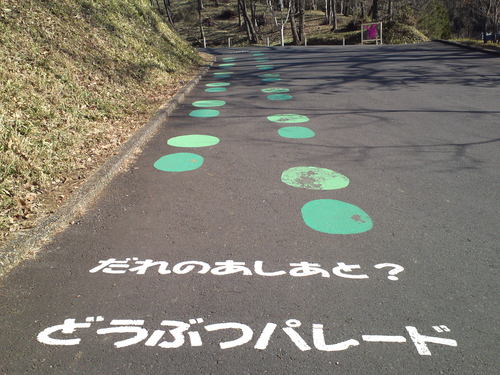 b0304598_2044799.jpg