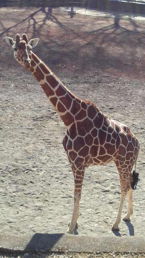 b0304598_2056567.jpg