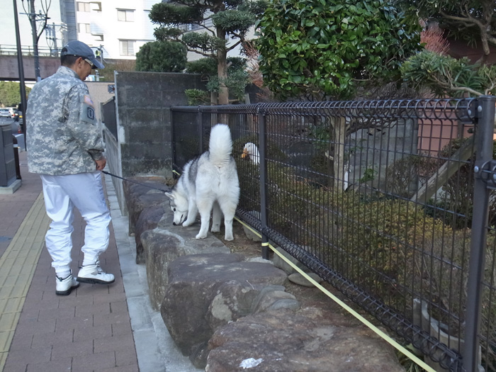 c0049299_137450.jpg