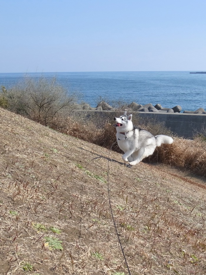 海と遊ぼう! 南国の冬_c0049299_19565682.jpg