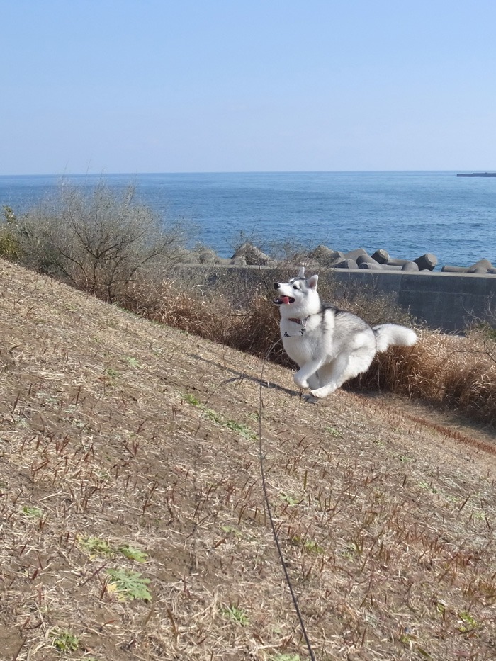 海と遊ぼう！　南国の冬_c0049299_19565682.jpg