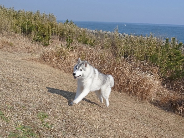 海と遊ぼう！　南国の冬_c0049299_19585067.jpg