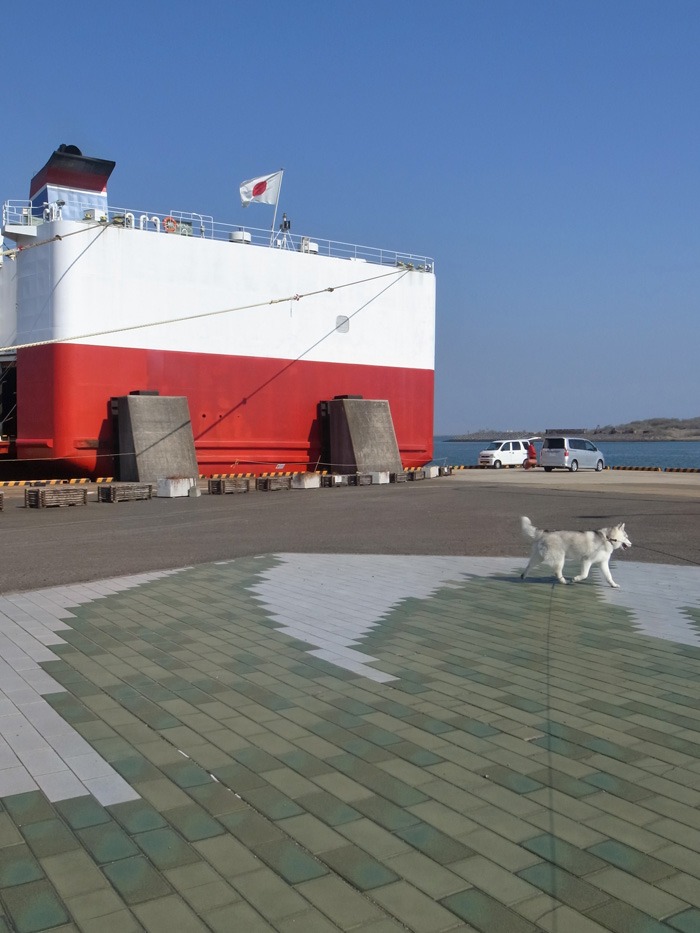 海と遊ぼう! 南国の冬_c0049299_2074056.jpg