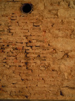 e0206902_77237.jpg