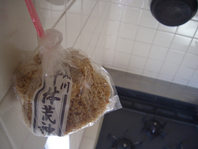 品川千躰荒神王_a0056406_8325291.jpg