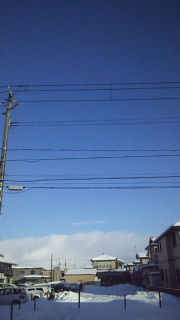 d0005807_8295223.jpg