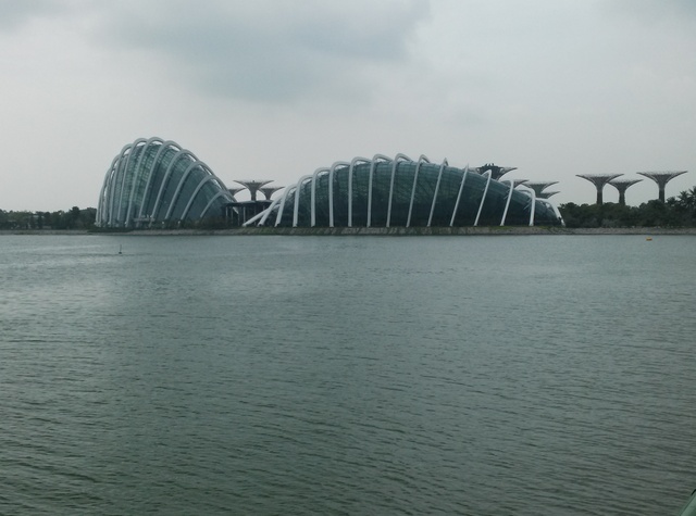 a0210108_22424891.jpg