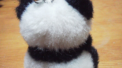 b0182709_8231214.jpg
