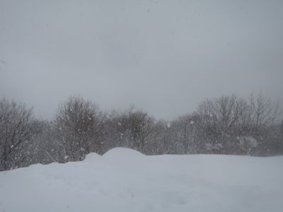 2014 桧原湖の旅 第1弾_e0192217_11312250.jpg