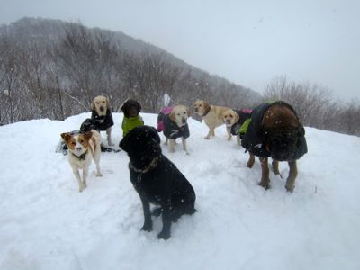 2014 桧原湖の旅 第1弾_e0192217_11412537.jpg