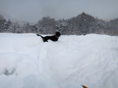 2014 桧原湖の旅 第1弾_e0192217_1182466.jpg