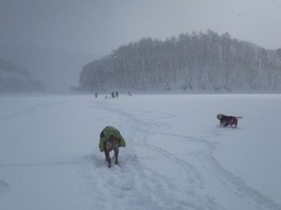 2014 桧原湖の旅 第1弾_e0192217_12135134.jpg