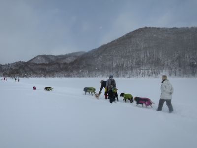 2014 桧原湖の旅 第1弾_e0192217_12181225.jpg